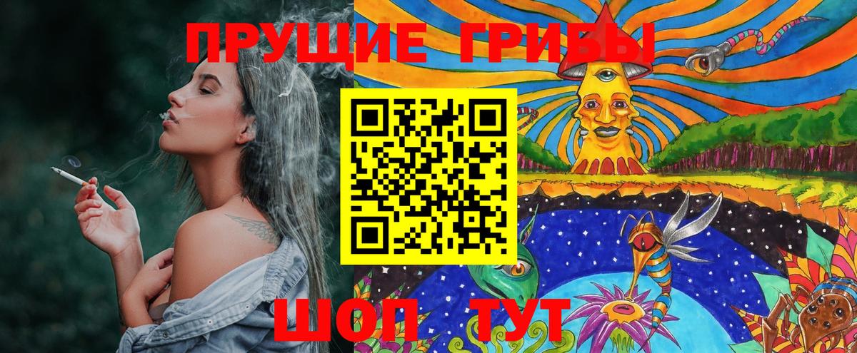 Псилоцибиновые грибы прущие грибы Губкинский