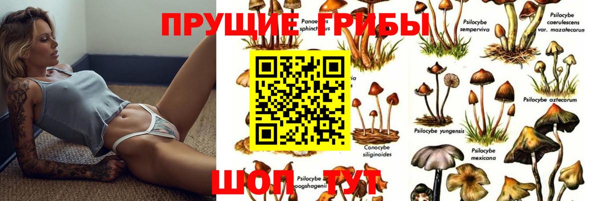 наркотики  Псилоцибиновые грибы Cubensis  Вход с VPN  Галлюциногенные грибы мицелий  Губкинский 