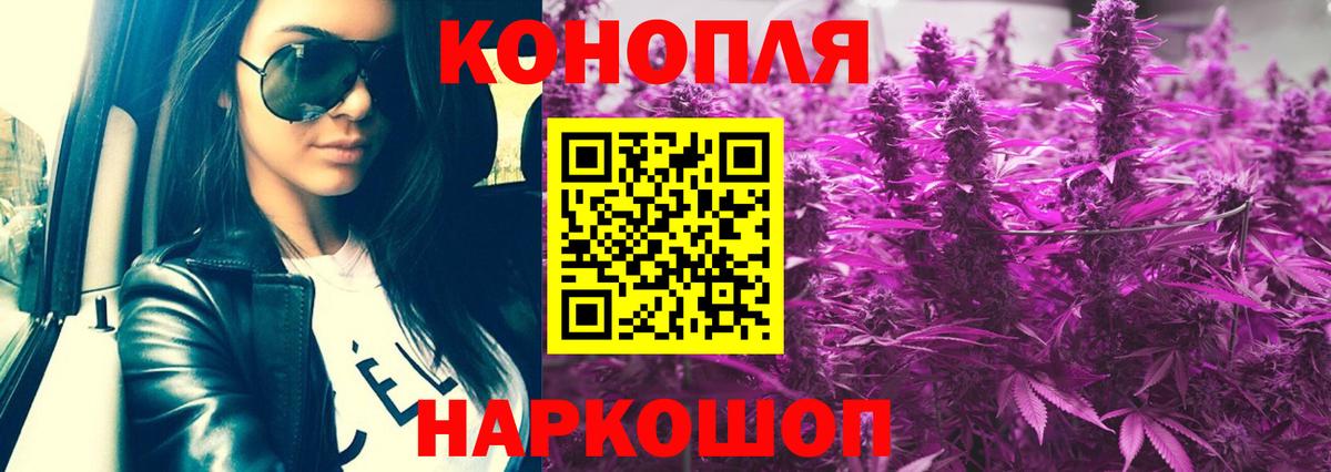 Губкинский  Шишки марихуана тримм  Конопля марихуана  Вход с VPN  Конопля конопля  Канабис THC 21% 